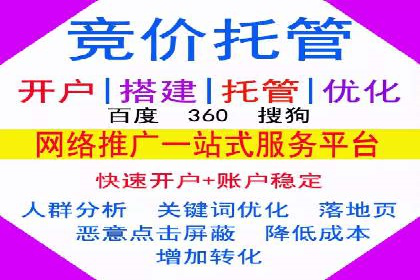 百度平台推广：成功案例解析与效果分析
